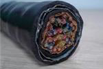 ZR-DJYP2VP2-22-8*2*1.5阻燃計(jì)算機(jī)電纜